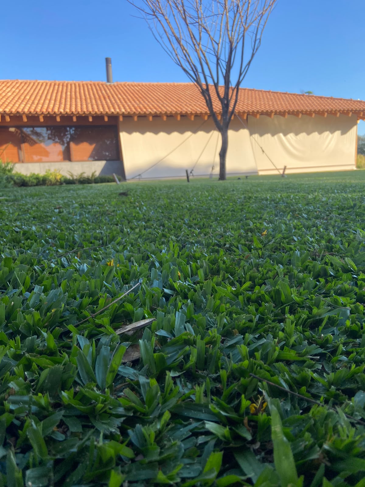 gramado verde bem cuidado em primeiro plano com casa de telhado de telhas cerâmicas ao fundo sob céu azul
