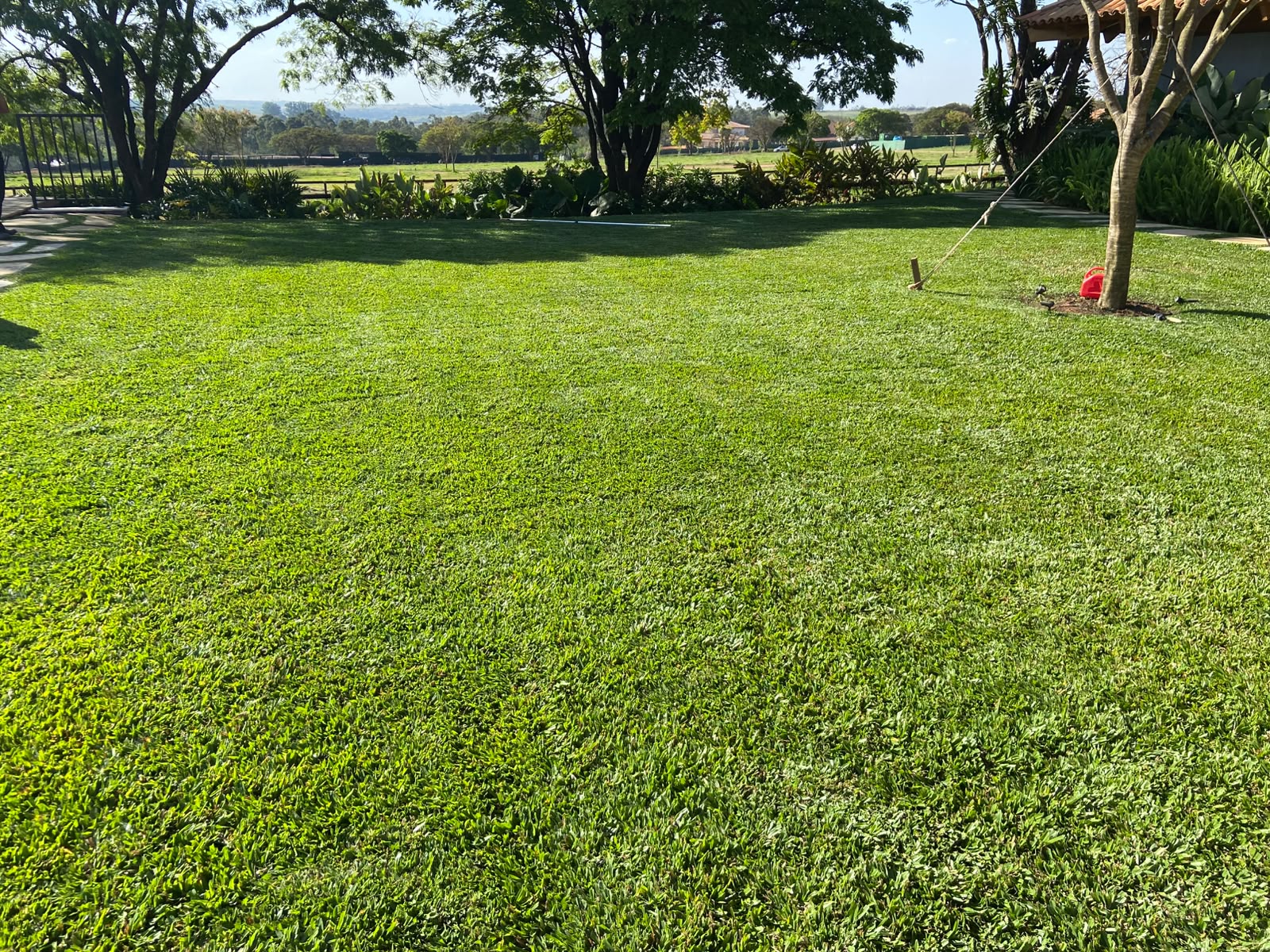 gramado grande e bem cuidado ao sol, com árvores e jardim ao fundo