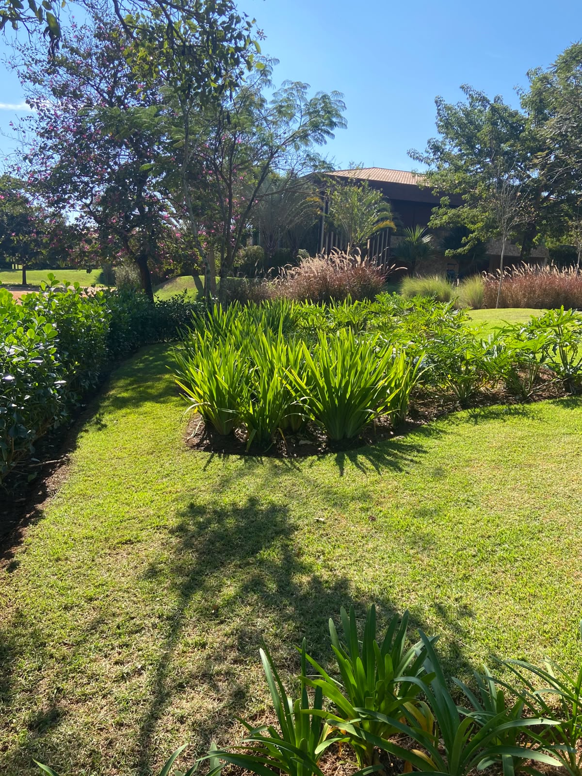 jardim paisagístico bem cuidado com gramado, canteiros de plantas tropicais e árvores, com casa de telhado de 